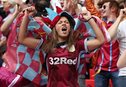 Villa fan