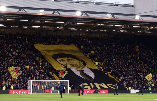 Watford Pozzo Fans owner