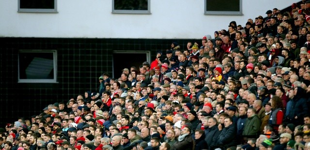 Arsenal fans